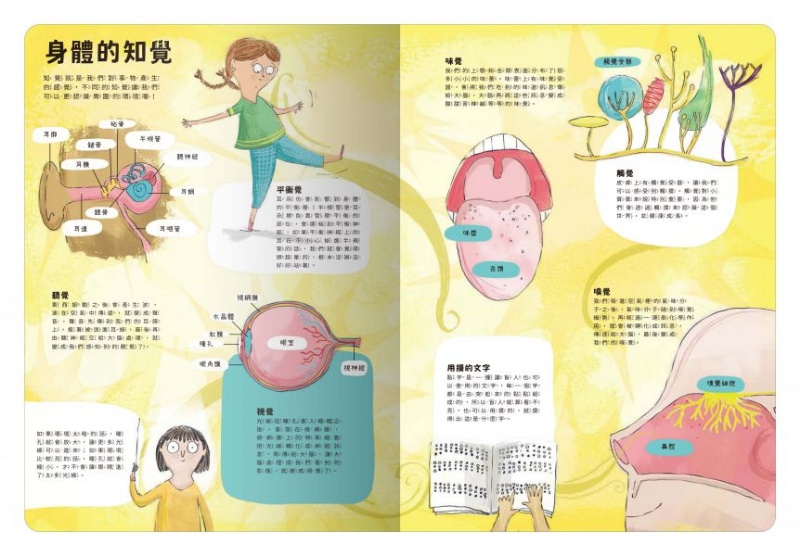 出發！探索之旅！大書陪我看身體